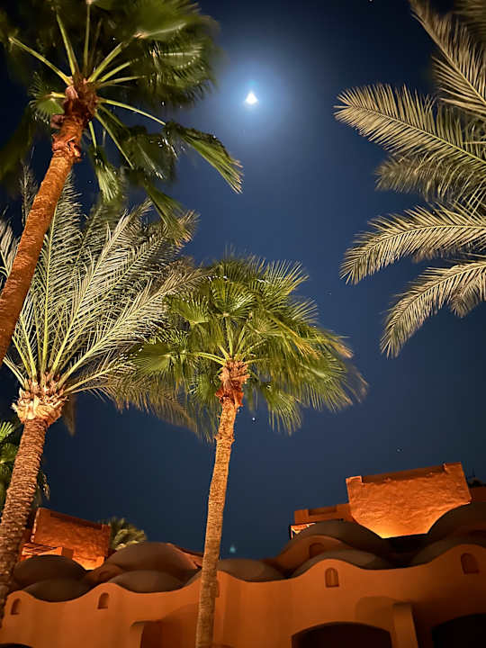 Gartenanlage Jaz Makadi Oasis Resort