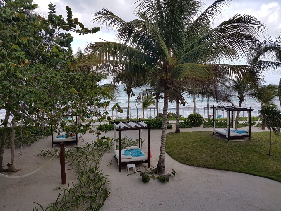 Gartenanlage Akumal Bay Beach & Wellness Resort
