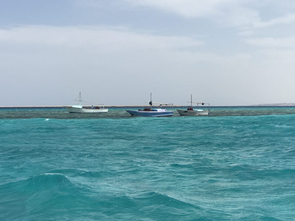 Ausblick Sindbad Club