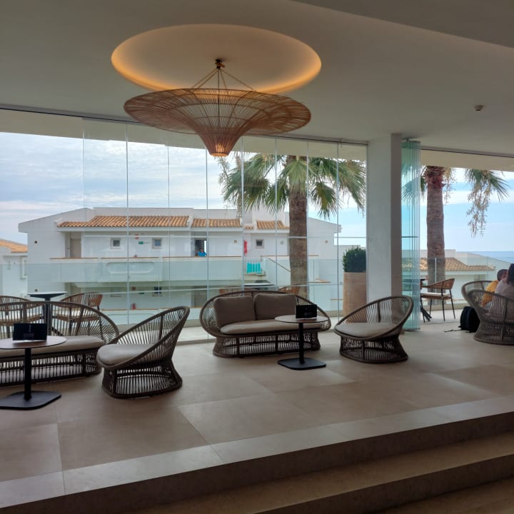 Gastro blau punta reina