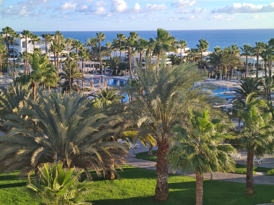 Gartenanlage Hotel Riu Gran Canaria