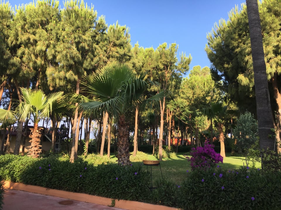 Gartenanlage Club Turtas Beach Hotel