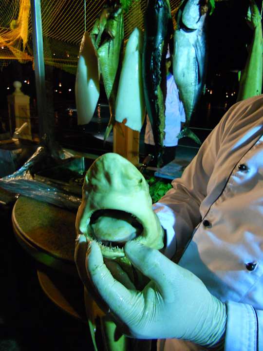 Themenabend Fisch Pickalbatros Palace Resort