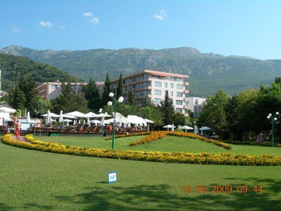 Widok z ogrodu Iberostar Waves Bellevue