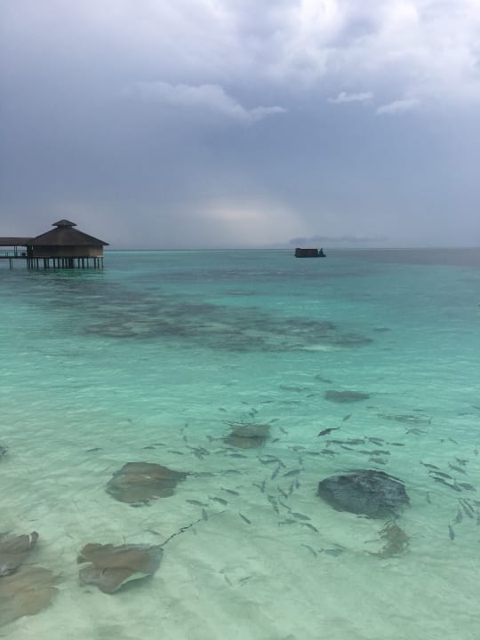 Strand NH Collection Maldives Reethi Resort