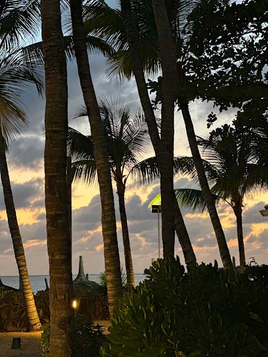 Ausblick Lagoon Attitude - Adults only