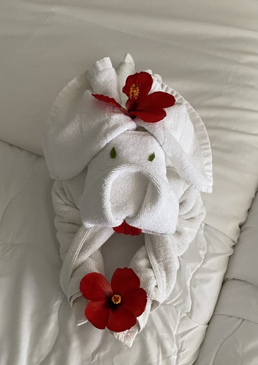 Zimmer Tropical Attitude - Adults only