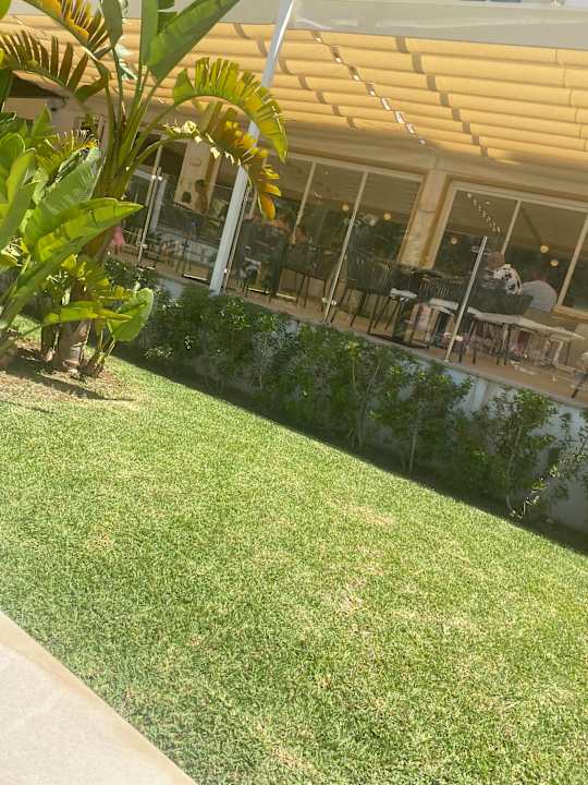 Gastro BQ Belvedere Hotel