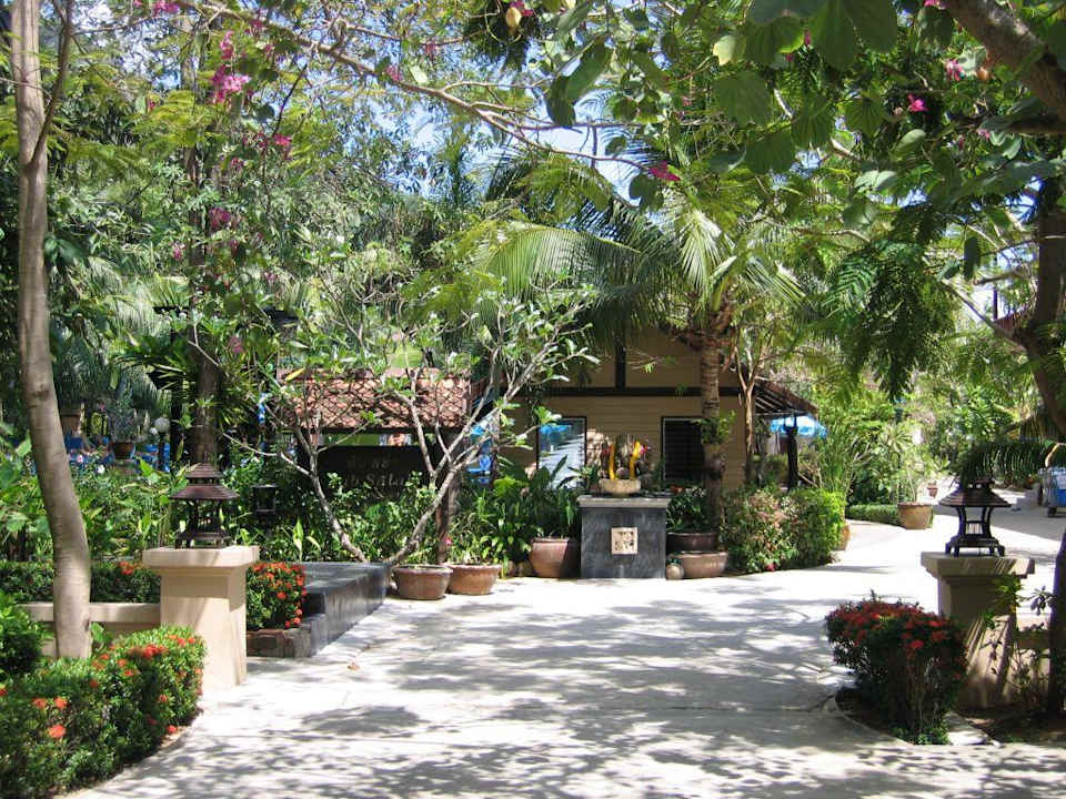 Weg zum Pool Hotel Kata Country House