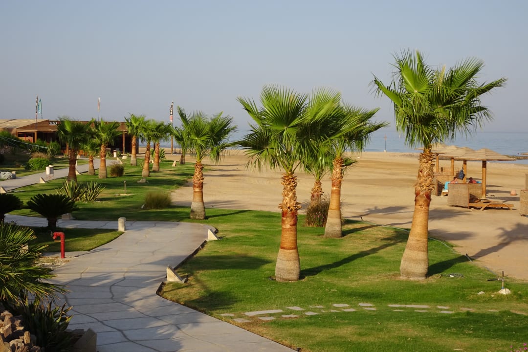 Gartenanlage Shams Prestige Abu Soma-Adults Only