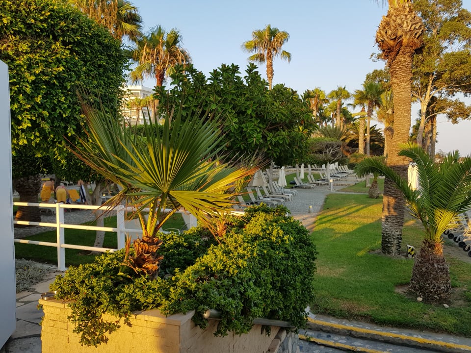 Gartenanlage Elias Beach Hotel