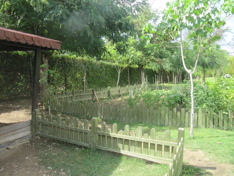 Огород Marvida Family Eco