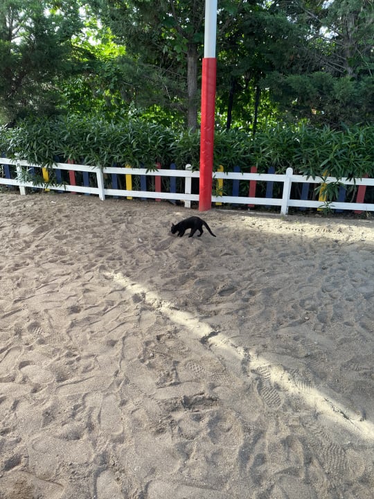 Sport & Freizeit Wyndham Garden Lara