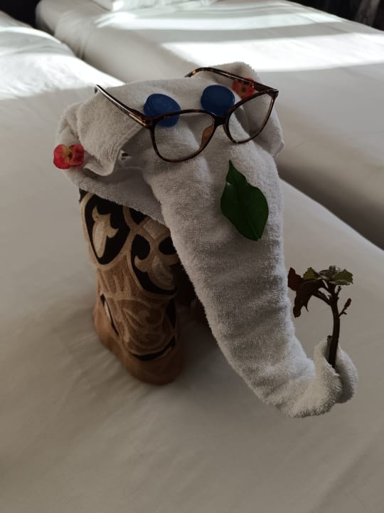 Zimmer Jaz Dar EL Madina