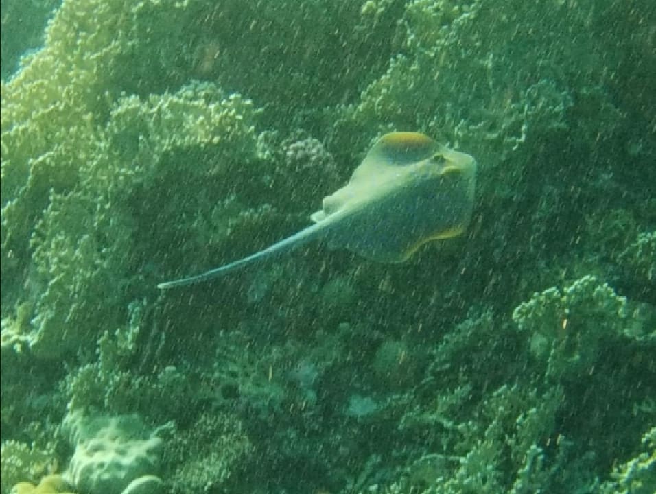 Strand Bliss Nada Beach Resort