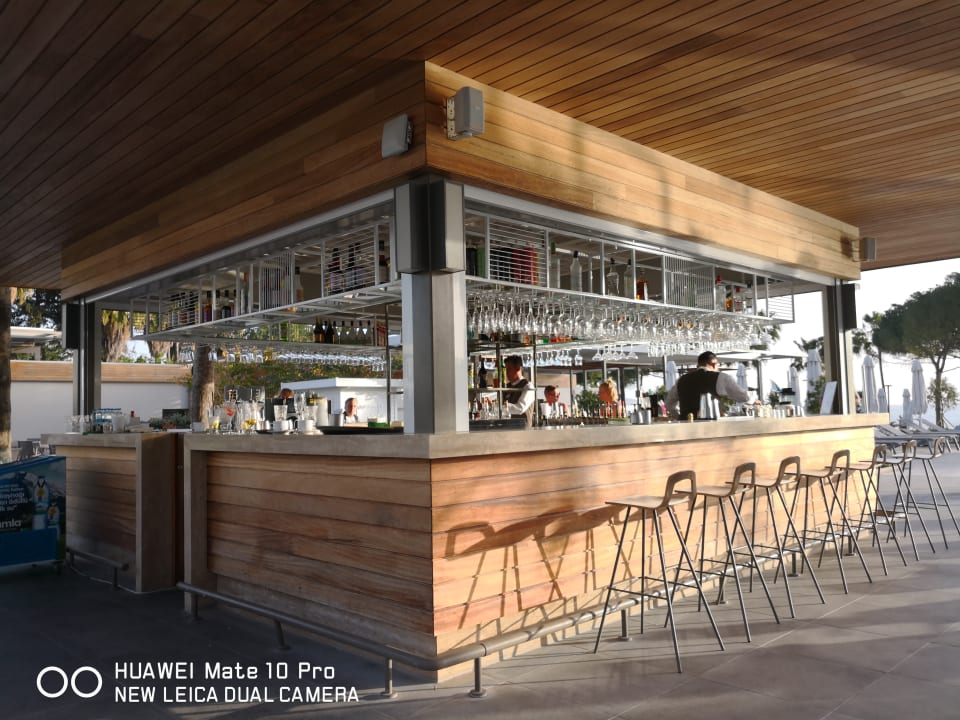 Poolbar Acanthus Cennet Barut Collection