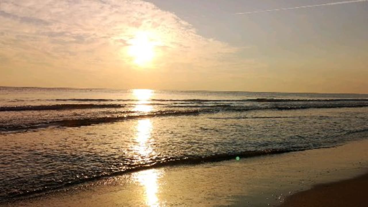 Strand Paloma Oceana