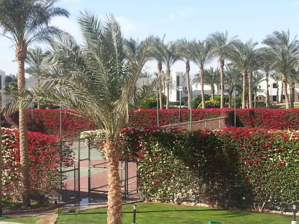 Tennsiplatz Sharm Resort