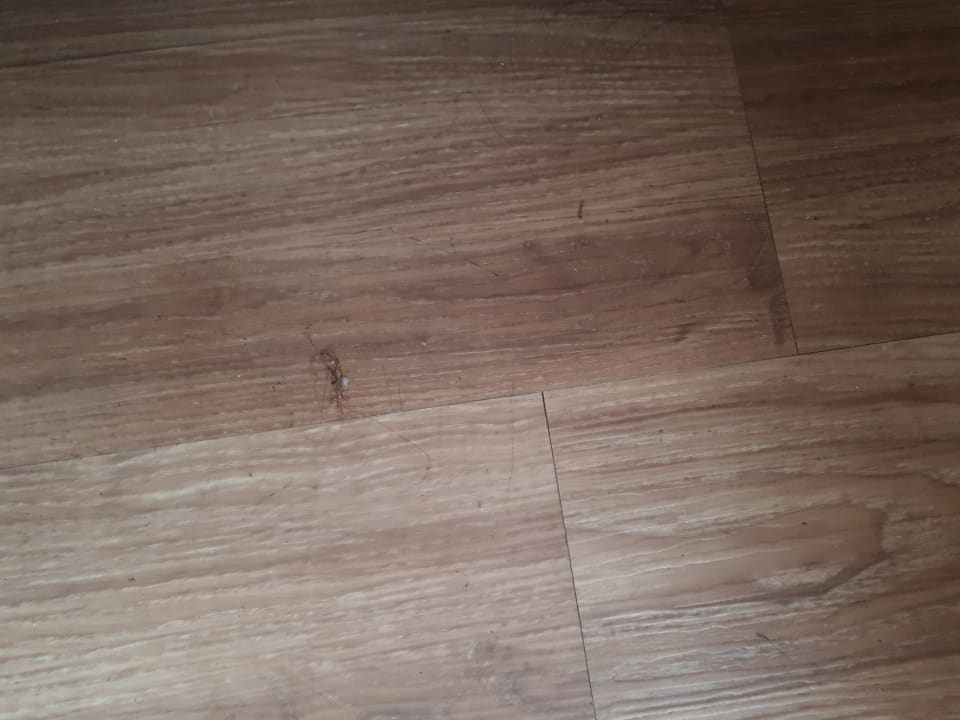 Zimmer FUN&SUN Smart Hane Sun Hotel