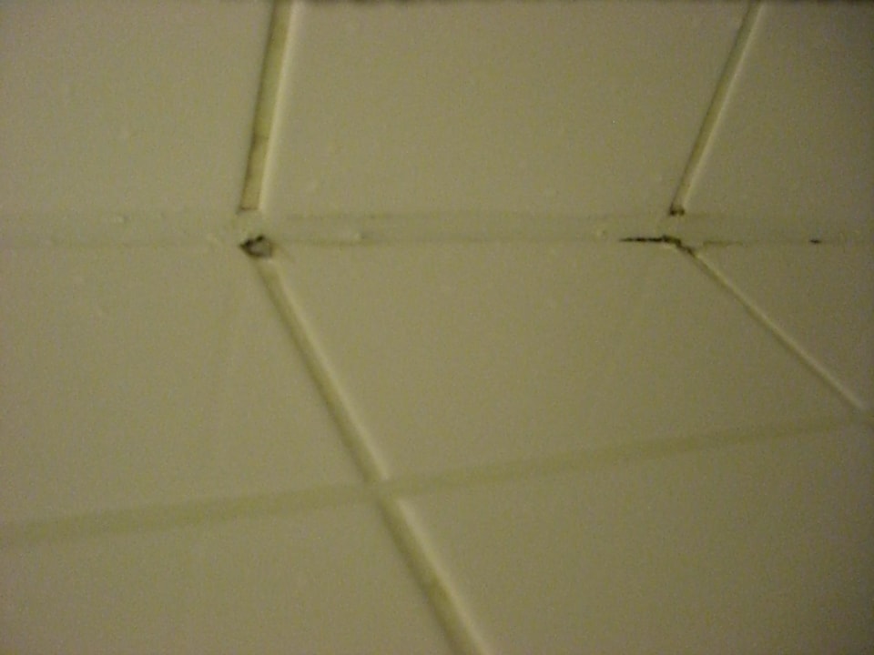 Schimmel Hotel Brauhof Wien