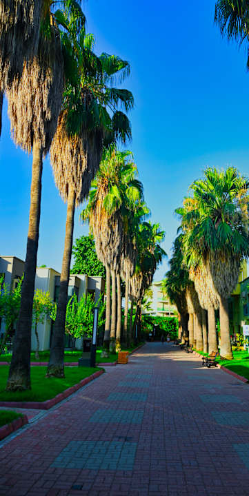 Gartenanlage VONRESORT Golden Beach