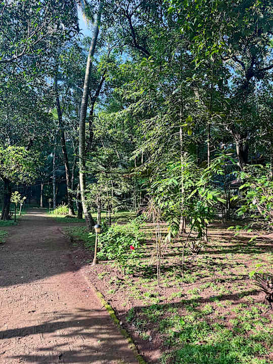 Gartenanlage Perumbayil Ayurveda Mana