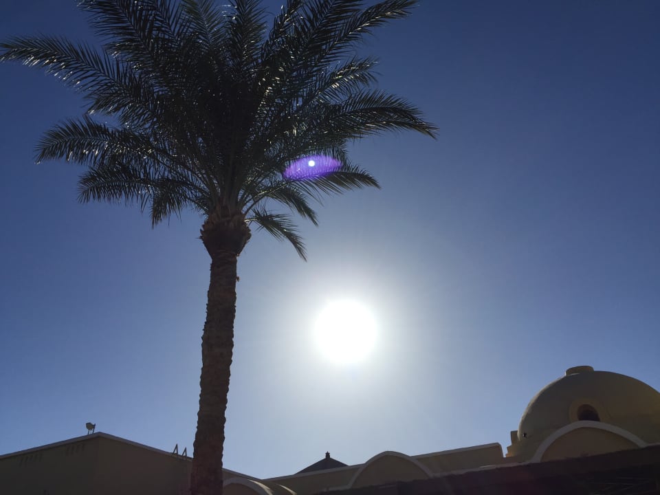 Außenansicht Jaz Makadi Gardens - TUI BLUE Makadi Gardens - Adults Friendly 16 Years Plus