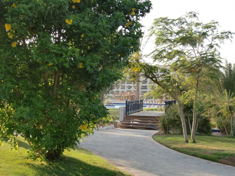 Steigenberger Al Dau Beach Hotel Steigenberger ALDAU Beach Hotel