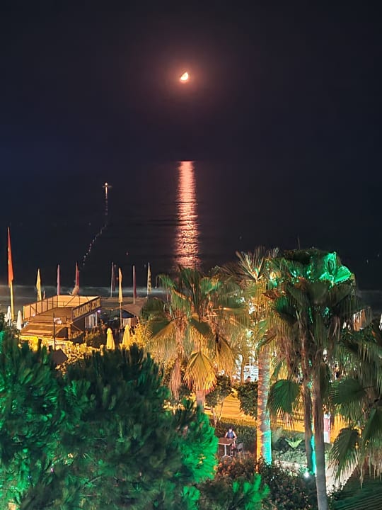 Ausblick Trendy Side Beach Hotel - Adults only