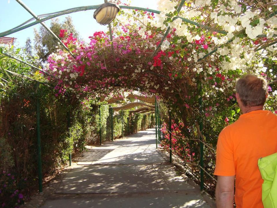 Strandweg Jaz Makadi Oasis Resort