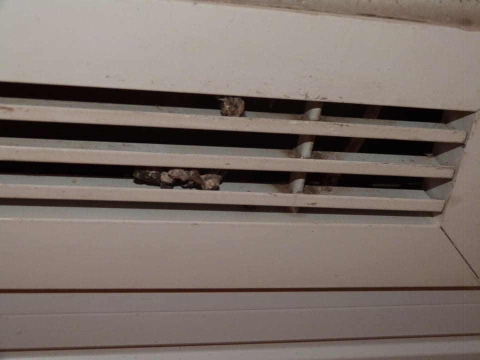 Zimmer Imperial Shams Abu Soma