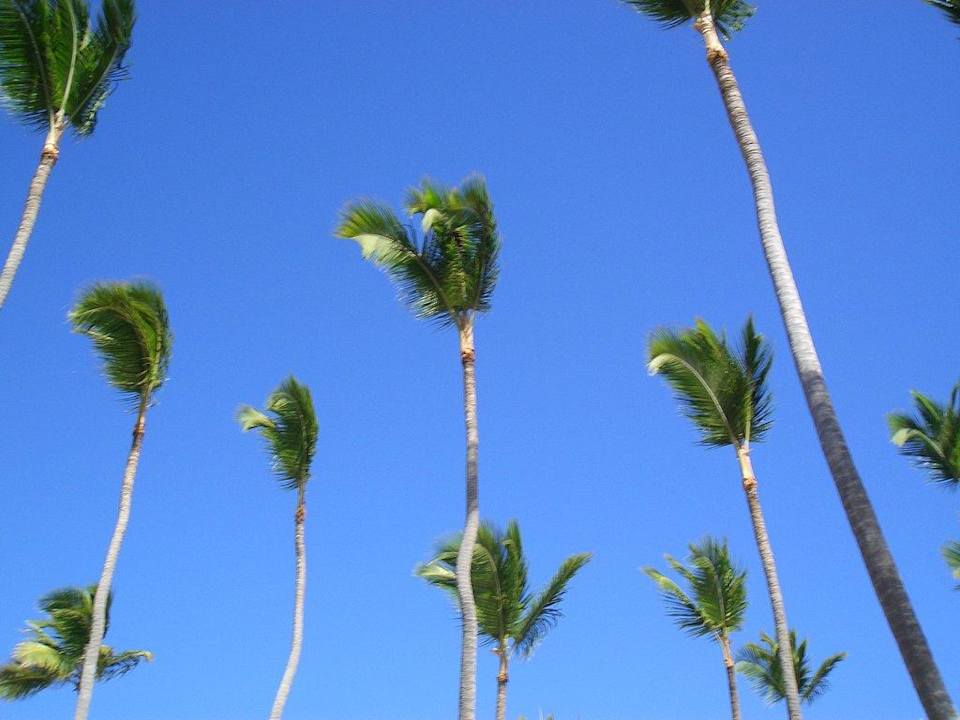 Palmen Grand Palladium Select Bávaro Resort & Spa