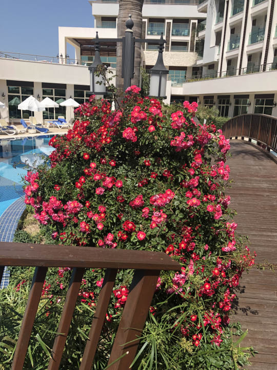 Gartenanlage Sunis Evren Beach Resort Hotel & Spa