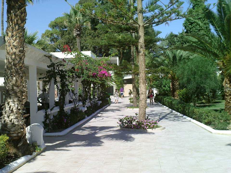 Der Weg zum Strand Movie Gate Miramar