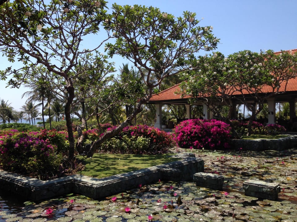 Garten Grand Hyatt Bali