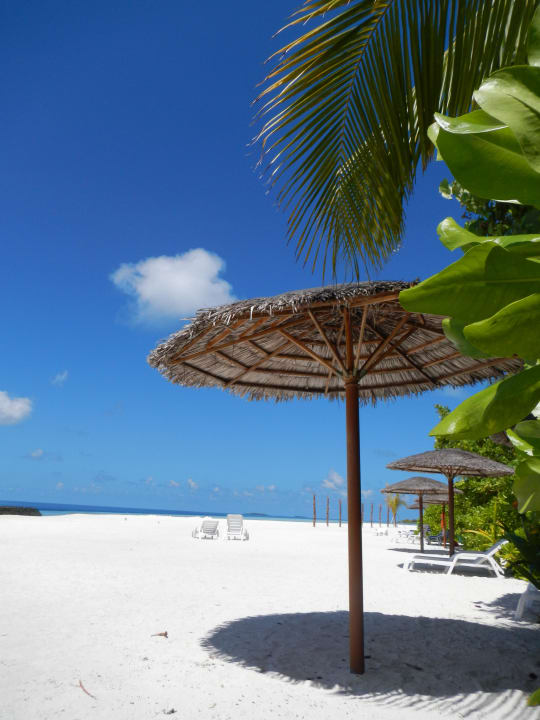 Malediven pur Sun Siyam Vilu Reef