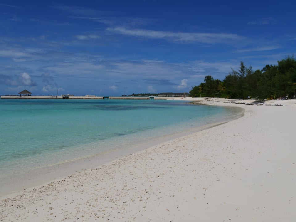 Strand Summer Island Maldives