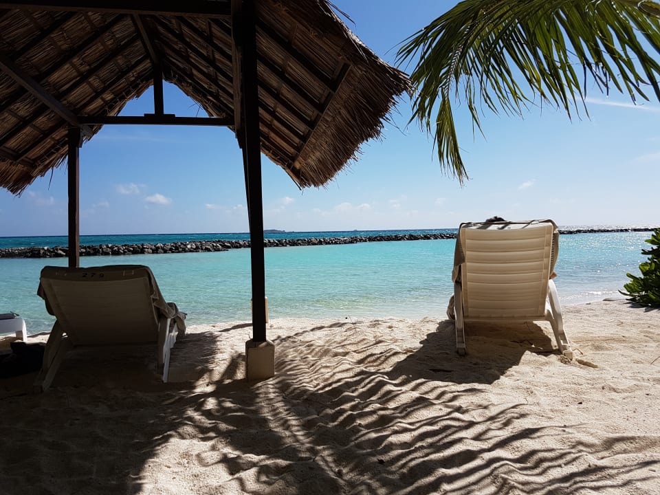 Strand Summer Island Maldives