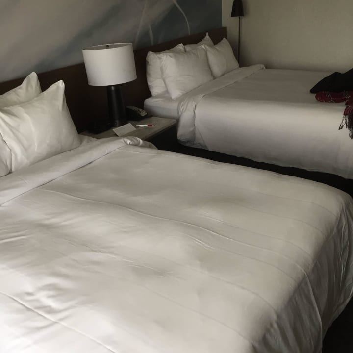 Hotelzimmer Hotel Courtyard by Marriott Newark Liberty International Airport