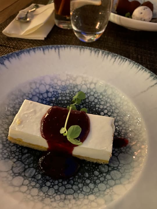 Gastro Acanthus Cennet Barut Collection