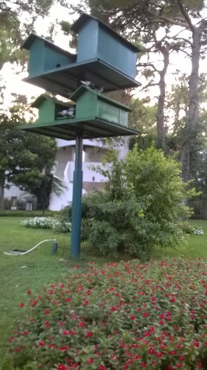 Taubenhäuschen Emelda Sun Club