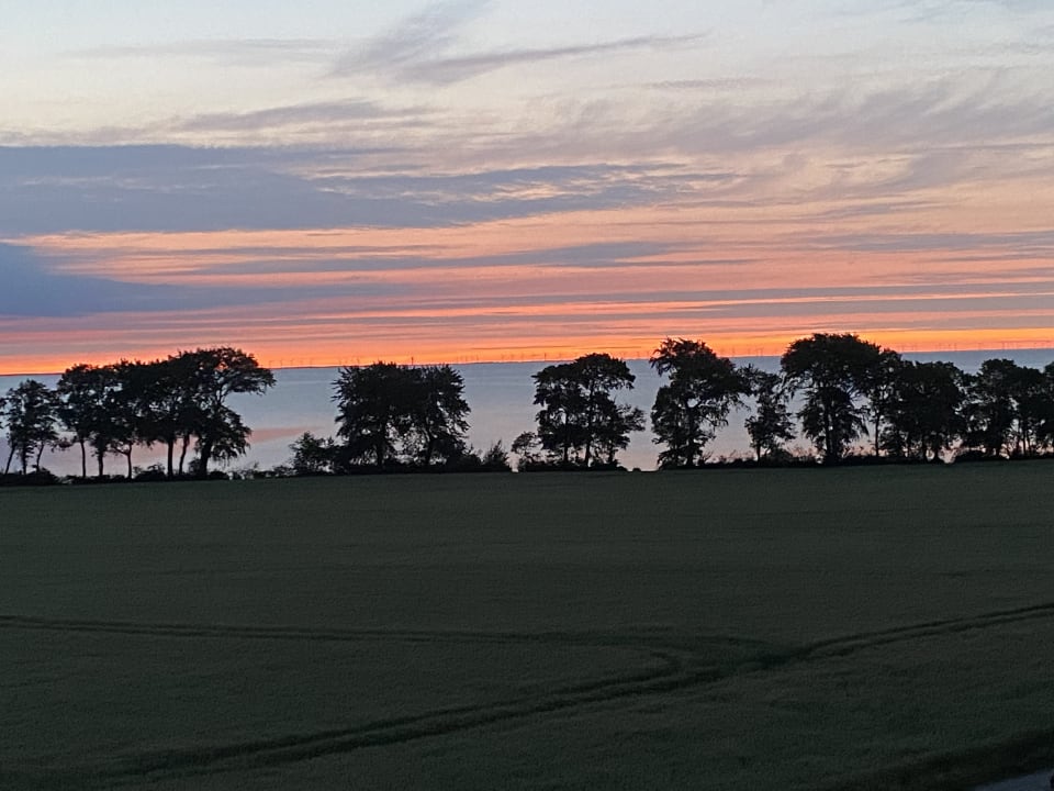 Ausblick Ferienbauernhof Liesenberg mit Meerblick
