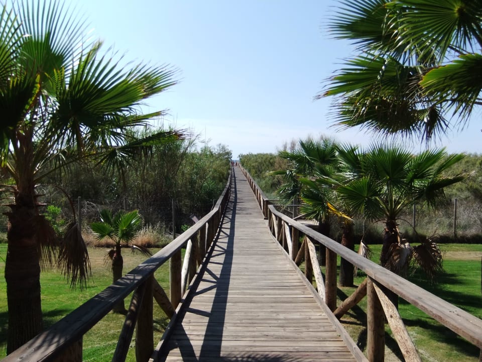 Weg zum Strand Playacanela Hotel