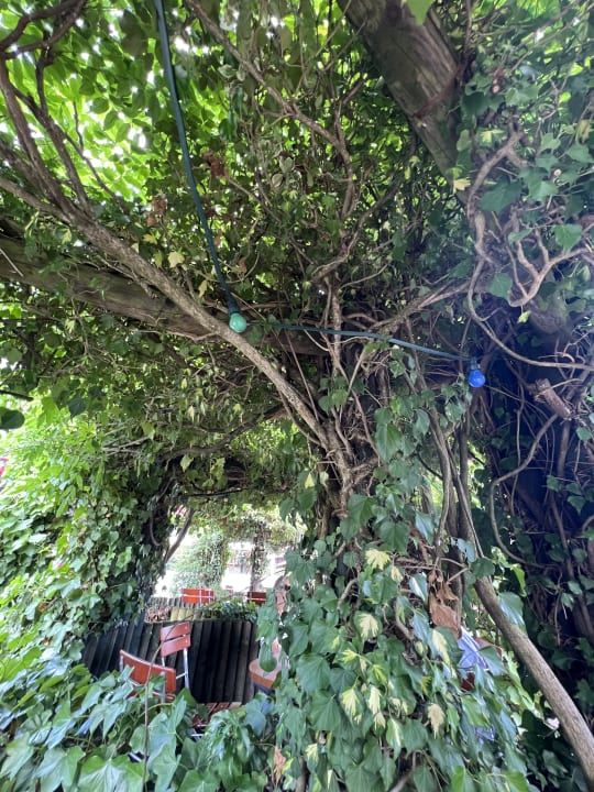 Gartenanlage Moselstern Hotel Brixiade & Triton