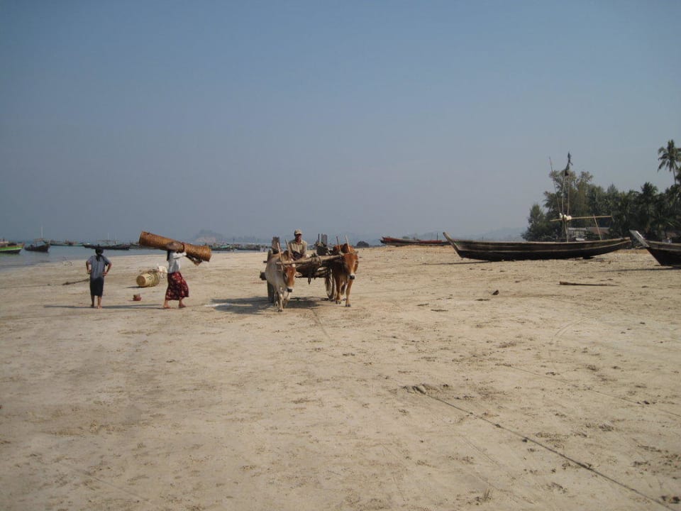 Ochsenkarren am Strand Hotel Sandoway Resort