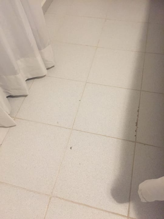 Zimmer Hotel Viva Dominicus Beach by Wyndham - All Inclusive Resort