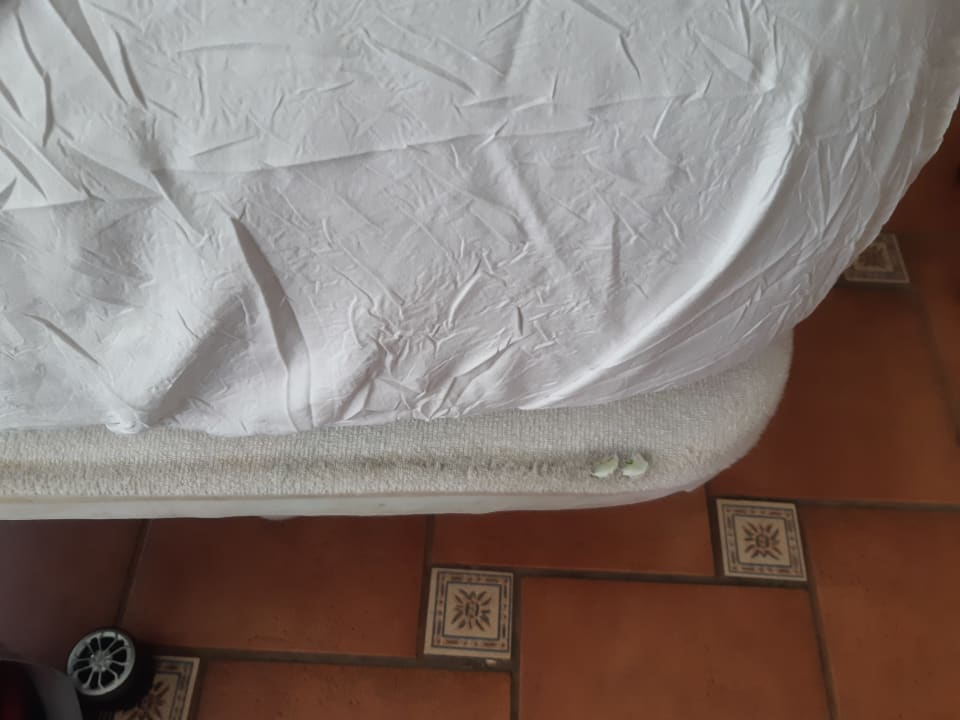 Zimmer Bull Costa Canaria & Spa - Adults only