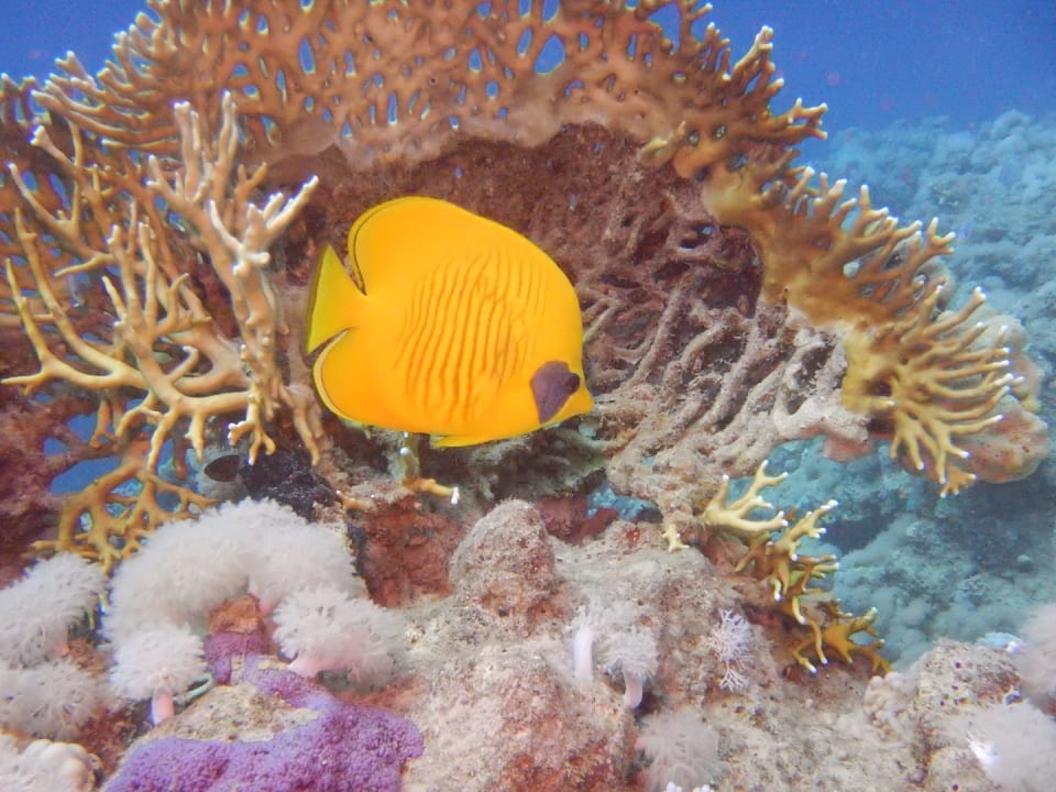 Sport & Freizeit Grand Makadi