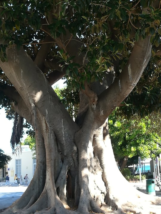 Sonstiges Caravia Beach Hotel