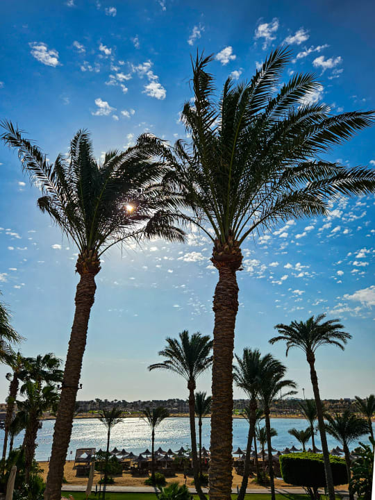 Strand Steigenberger Coraya Beach - Adults only